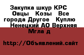 Закупка шкур КРС , Овцы , Козы - Все города Другое » Куплю   . Ненецкий АО,Верхняя Мгла д.